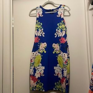 Blue floral, L Gianni Bini dress